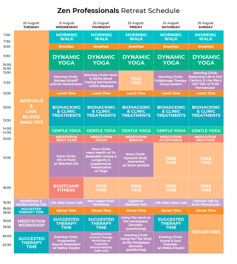 zen professionals retreat schedule thelifeco bodrum